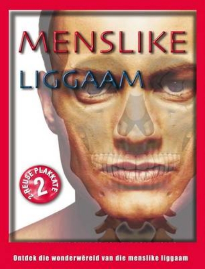 Picture of Menslike liggaam