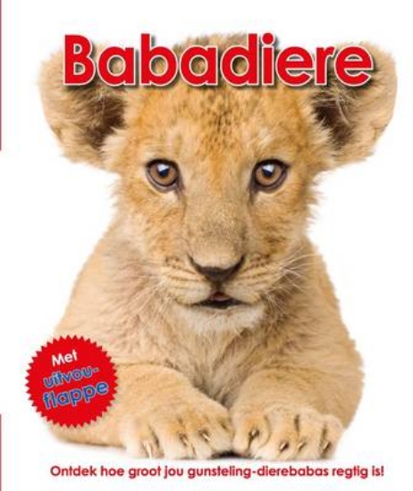 Picture of Babadiere