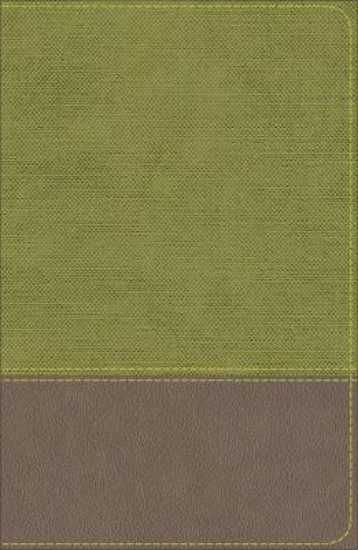 Picture of KJV Study Bible for Boys Olive/Brown LeatherTouch
