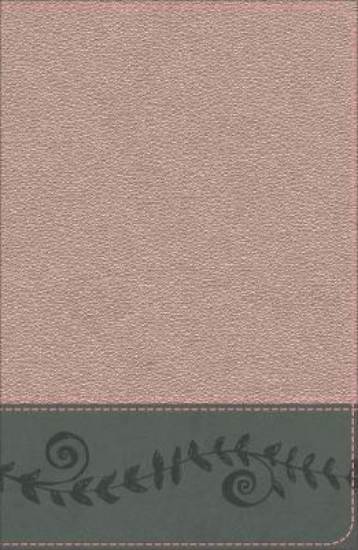 Picture of KJV Study Bible for Girls Pink Pearl/Gray, Vine De