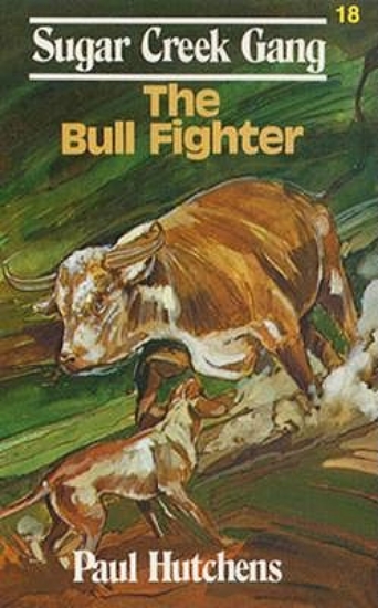 Picture of The Bull Fighter