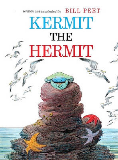 Picture of Kermit the Hermit