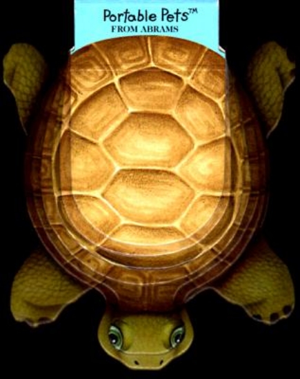 Picture of Turtle