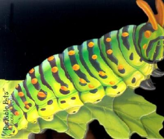 Picture of Portable Caterpillar