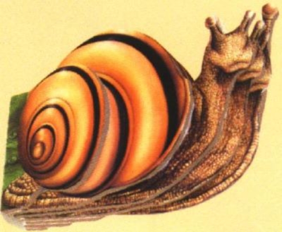 Picture of Portable Snail
