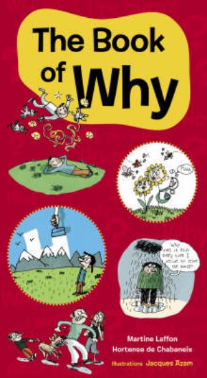 Picture of Book of Why