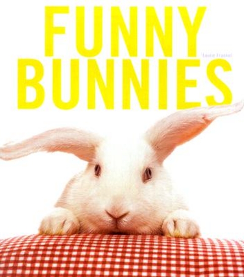 Picture of Funny Bunnies