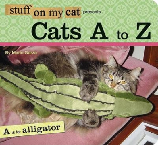 Picture of Stuff on My Cat A to Z
