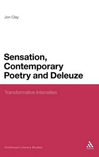 Picture of Sensation, Contemporary Poetry and Deleuze