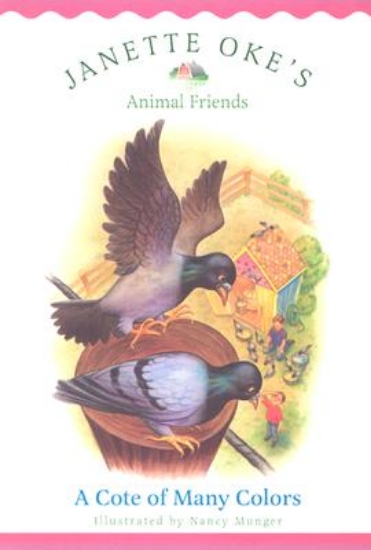 Picture of A Cote of Many Colors