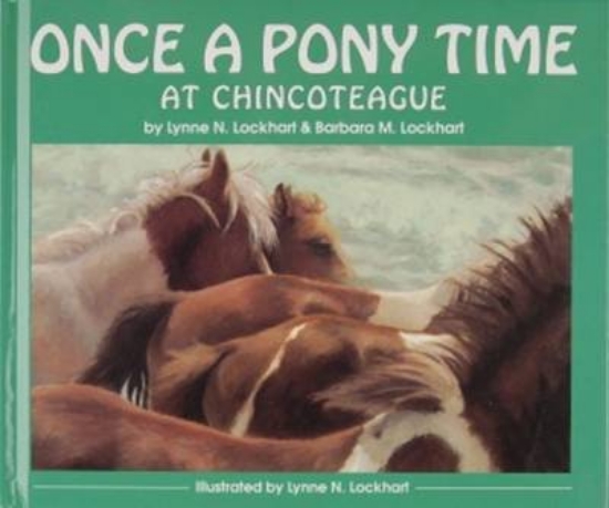 Picture of Once a Pony Time at Chincoteague