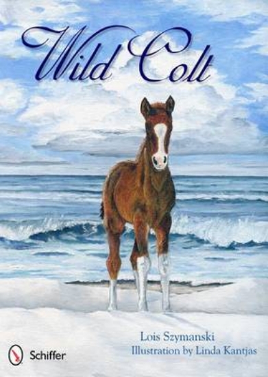 Picture of Wild Colt