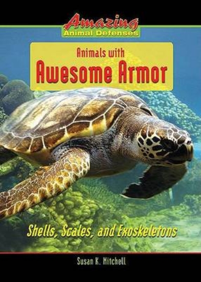 Picture of Animals with Awesome Armor