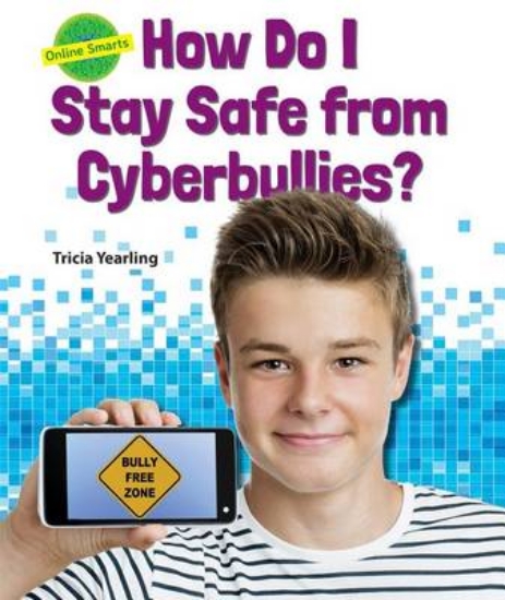 Picture of How Do I Stay Safe from Cyberbullies? ( Online Sma