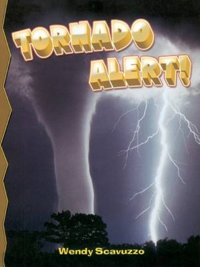 Picture of Tornado Alert!