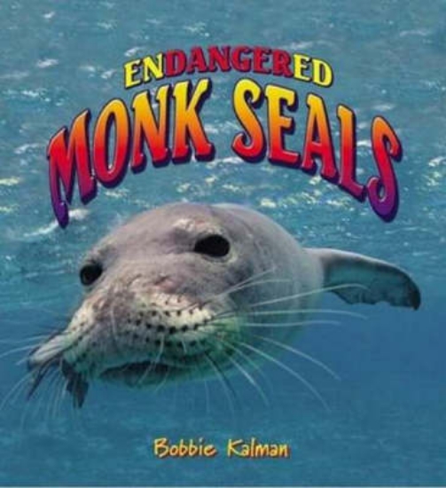 Picture of Endangered Monk Seals