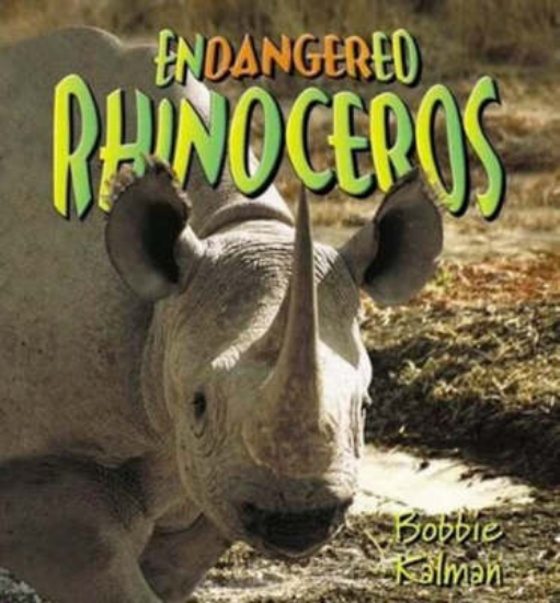 Picture of Endangered Rhinoceros