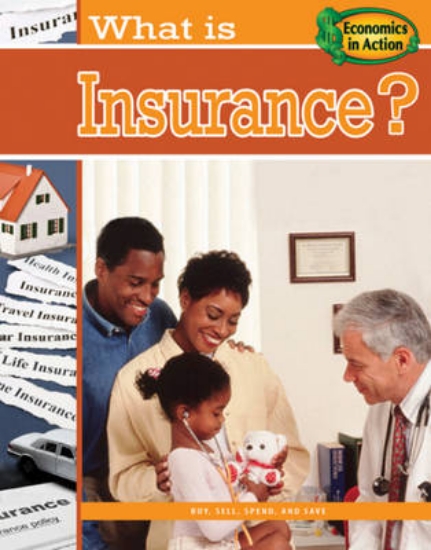Picture of What is Insurance?