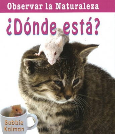 Picture of Donde Esta?