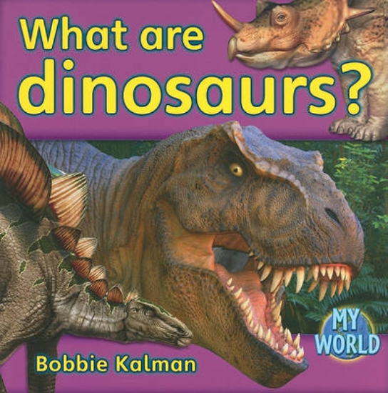 Picture of What are dinosaurs?