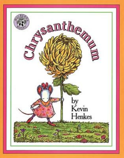 Picture of Chrysanthemum