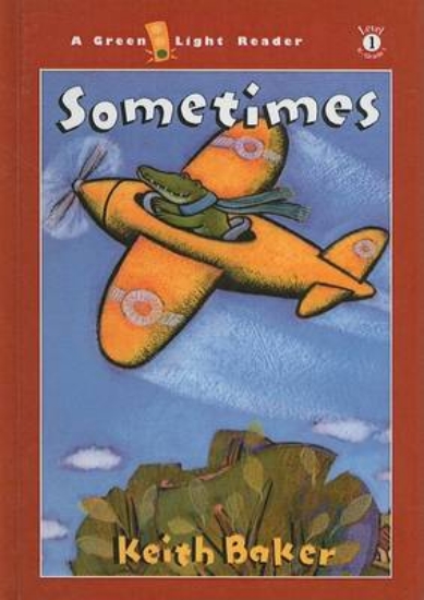 Picture of Sometimes