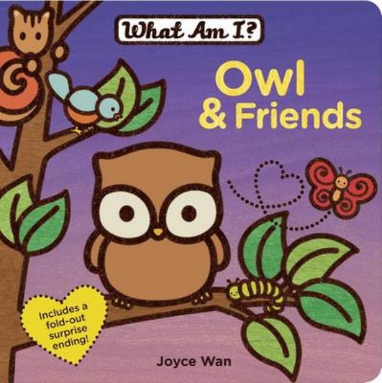 Picture of Owl & Friends