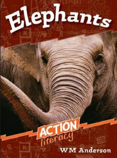 Picture of Elephants