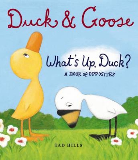 Picture of Duck and Goose: What's Up, Duck? A Book of Opposit