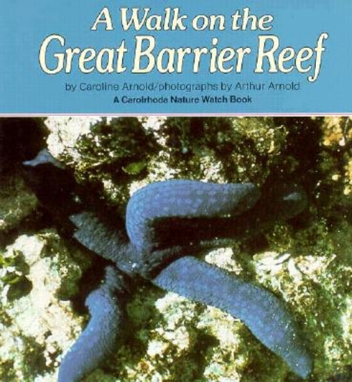 Picture of A Walk on the Great Barrier Reef