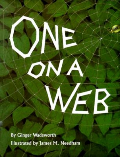 Picture of One on a Web