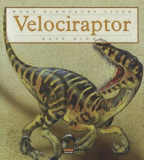 Picture of Velociraptor