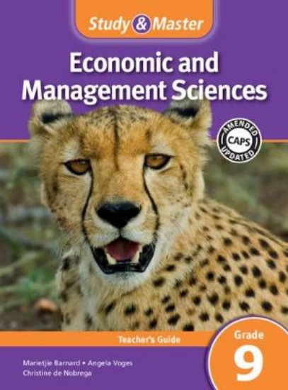 Picture of Study & Master Economic and Management Sciences Te