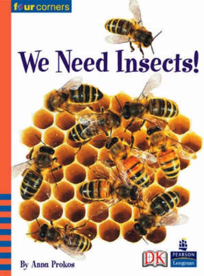 Picture of Four Corners: We Need Insects (Pack of Six)