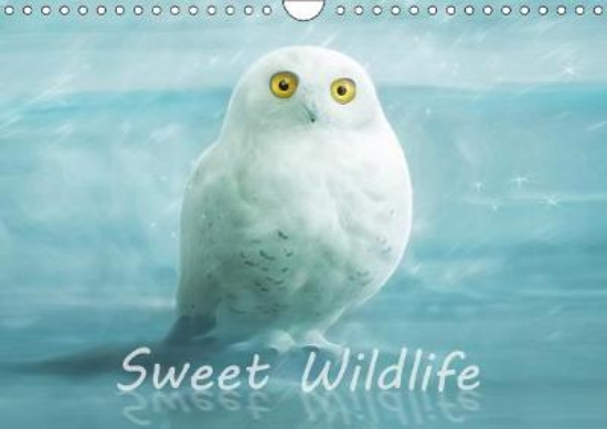 Picture of Sweet Wildlife / UK-Version / Birthday Calendar 20