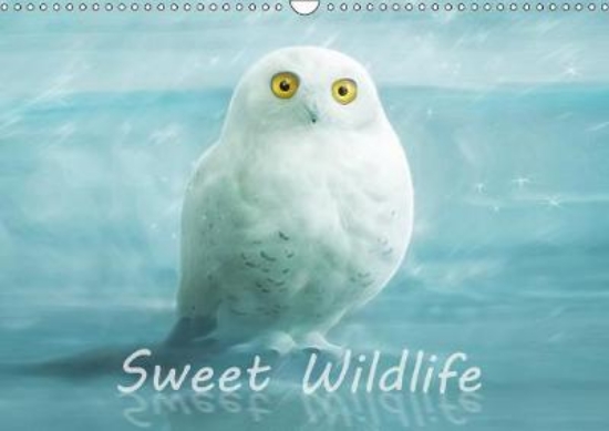 Picture of Sweet Wildlife / UK-Version / Birthday Calendar 20
