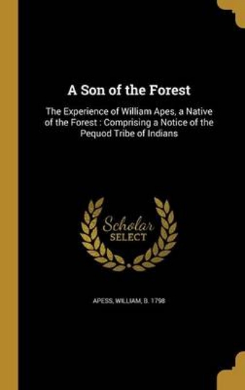 Picture of A Son of the Forest