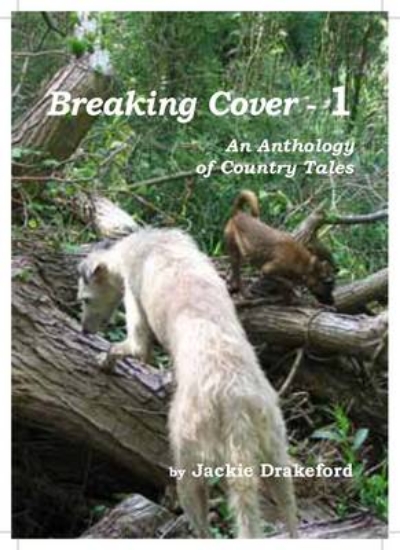 Picture of Breaking Cover - 1