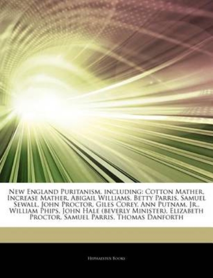 Picture of Articles on New England Puritanism, Including