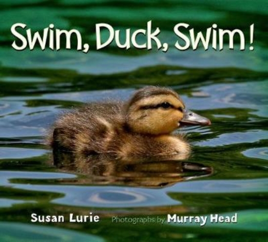 Picture of Swim, Duck, Swim!