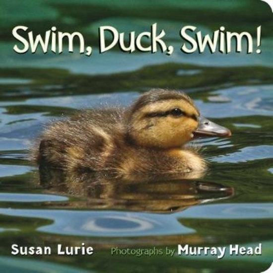 Picture of Swim, Duck, Swim!