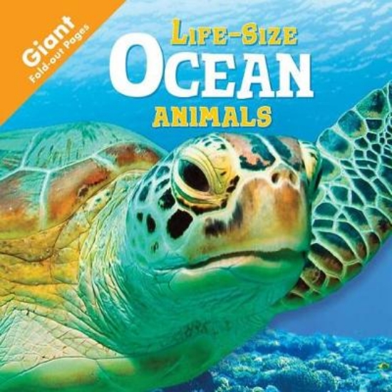 Picture of Ocean Animals
