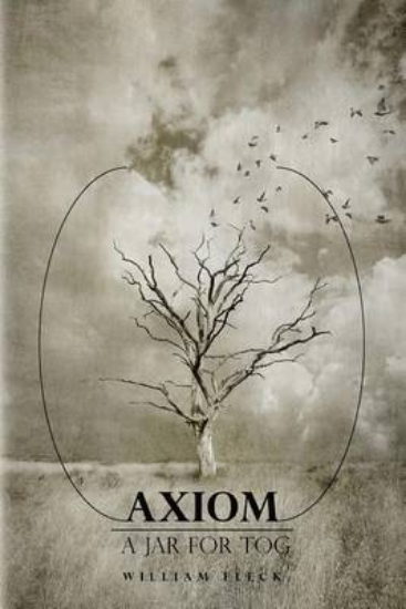 Picture of Axiom