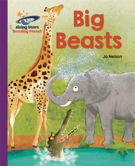 Picture of Big Beasts  - Purple