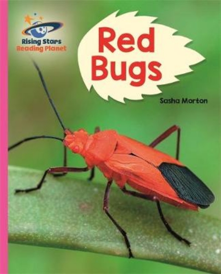 Picture of Red Bugs!