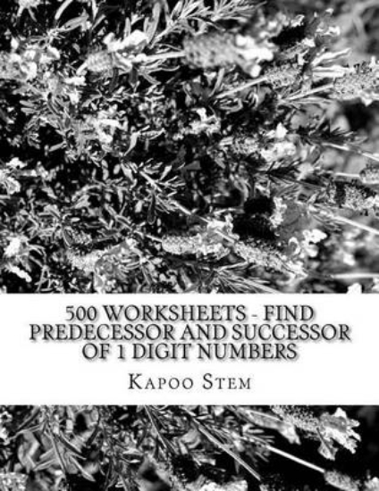 Picture of 500 Worksheets - Find Predecessor and Successor of