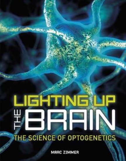 Picture of Lighting Up the Brain