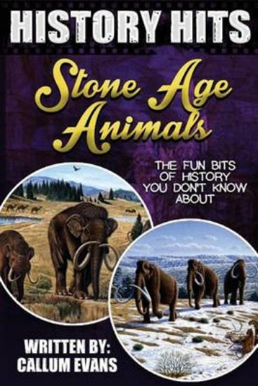 Picture of The Fun Bits of History You Don't Know about Stone