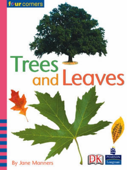 Picture of Four Corners: Trees and Leaves (Pack of Six)
