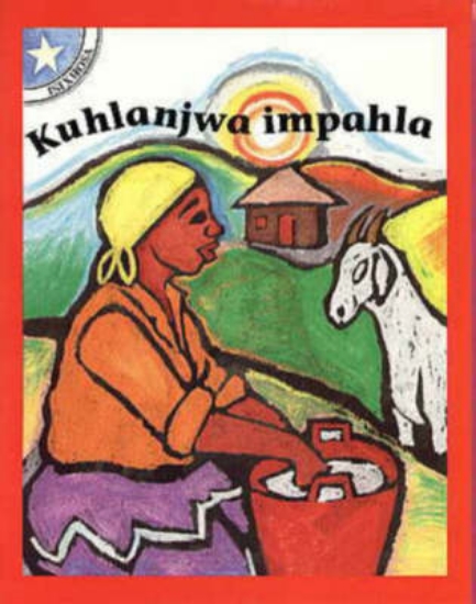 Picture of Ezi zinto ndiyazithanda : Gr 1: Reader